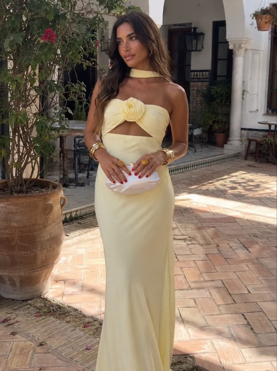 Robe Maxi Halter à Corsage Rose